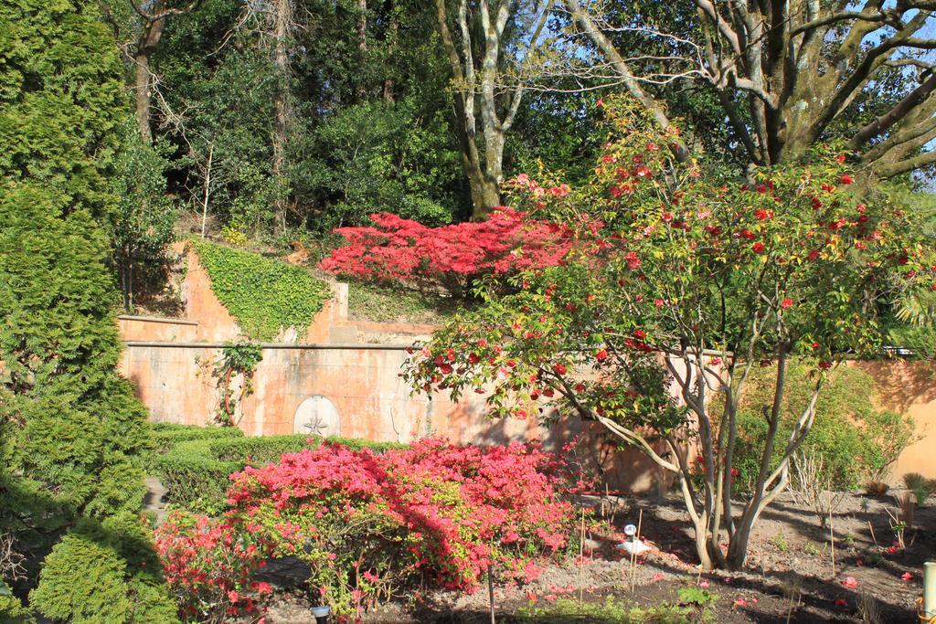 Hôtel Chantaco Golf&Wellness Saint-Jean-de-Luz Exterior foto